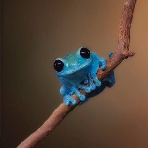 Make me an offer or get a good deal on a bundle🐸